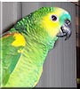 Paco