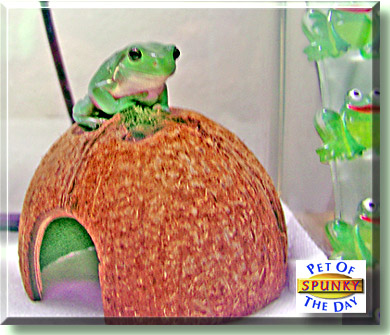 Spunky, the Pet of the Day