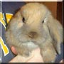Benny