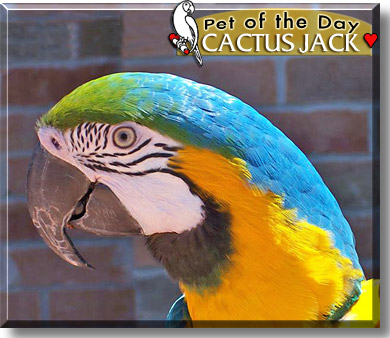 Cactus Jack, the Pet of the Day