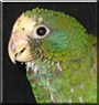 Rio