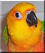 Jake
