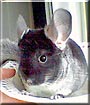 Cherie