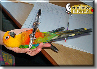 Jensen, the Pet of the Day