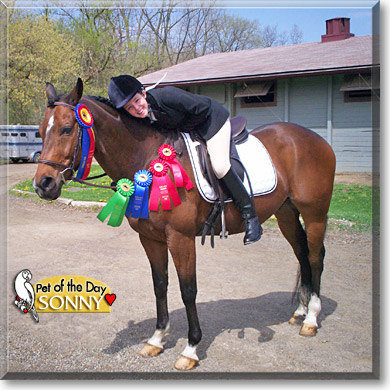 Sonny, the Pet of the Day