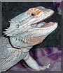 Sebastian