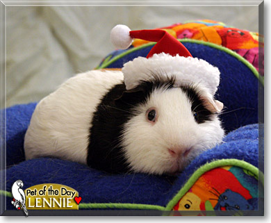 Lennie, the Pet of the Day