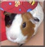 Snickers