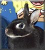 Sammy
