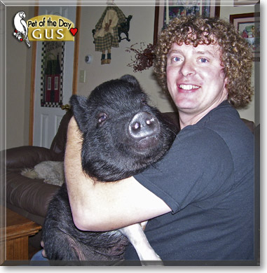 Gus, the Pet of the Day