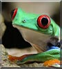 Kermit