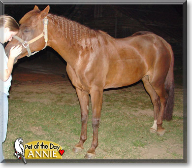 Annie, the Pet of the Day