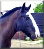 Smudge