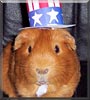 Peanut