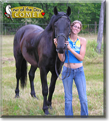 Comet, the Pet of the Day