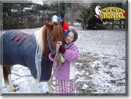 Tonto, the Pet of the Day
