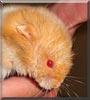 Edmund