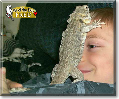 Fred, the Pet of the Day