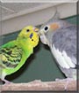 Lloyd, Chloe