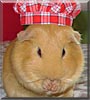 Peanut