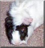 Patches