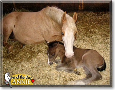 Annie, the Pet of the Day