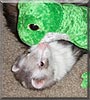 Keiko