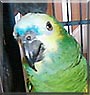 Spike