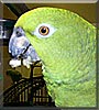 Fiona