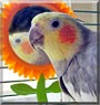 Sparky
