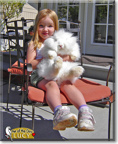 Lucy, the Pet of the Day