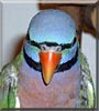 Oscar