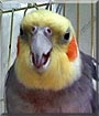 Didi