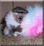 Machine Bun Kelly