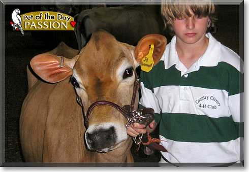 Passion, the Pet of the Day
