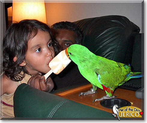 Jerico, the Pet of the Day