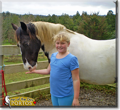 Portos, the Pet of the Day