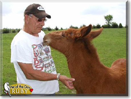 Ruby, the Pet of the Day