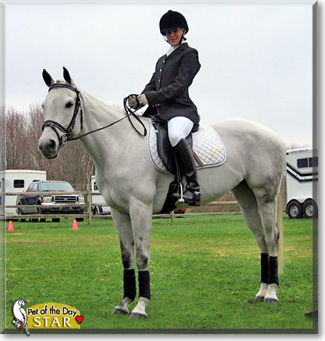Star, the Pet of the Day