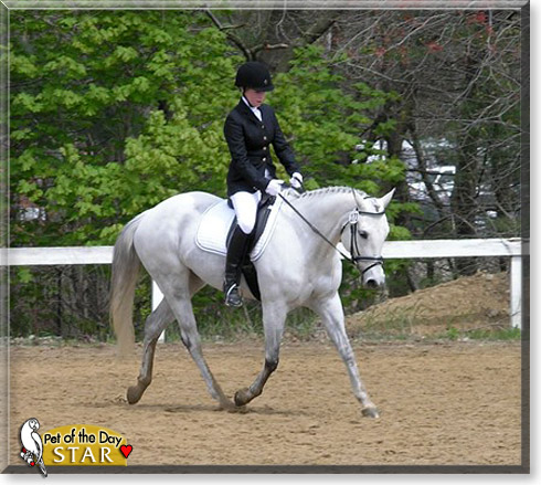Star, the Pet of the Day