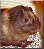 Reeses
