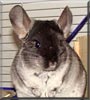 Matilda