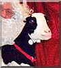 Daisy Moo