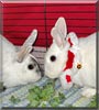 Minnie, Pearl