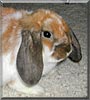 Snickers