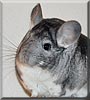 Sebastian