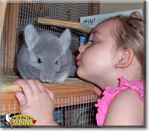 Sunny, the Pet of the Day