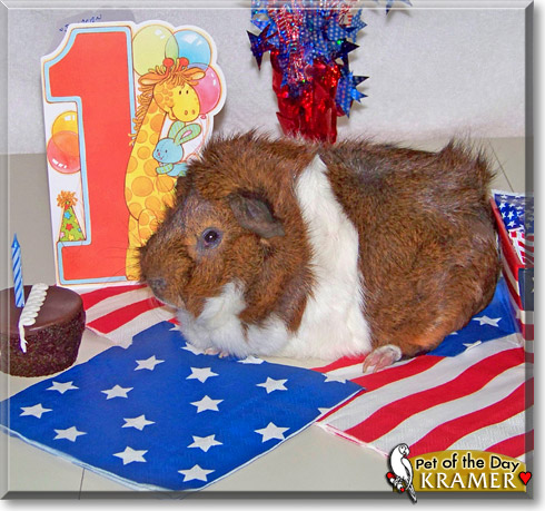 Kramer, the Pet of the Day