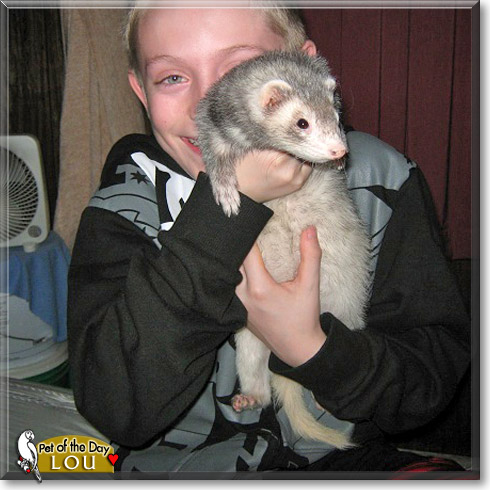 Lou, the Pet of the Day