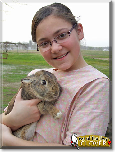 Clover, the Pet of the Day Clover, the Pet of the Day